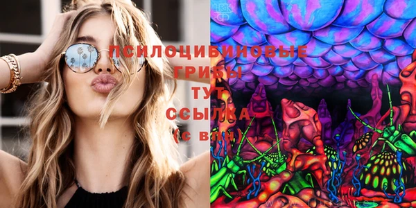 амф Беслан