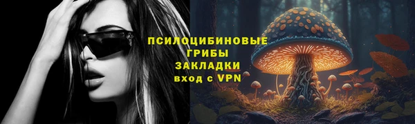 круглые Алзамай