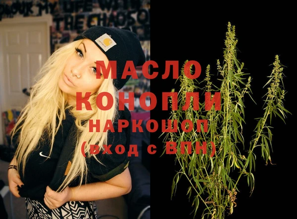 индика Заводоуковск