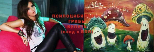 гидра Алексин